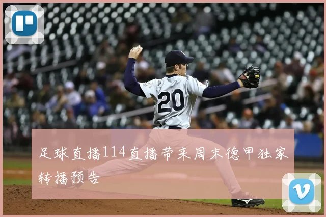 足球直播114直播带来周末德甲独家转播预告